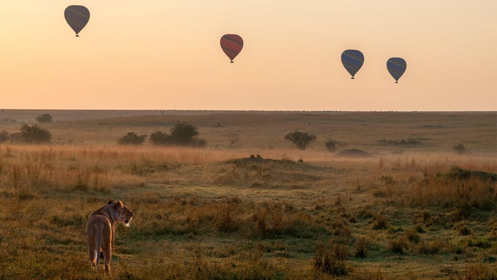 Kenya balloons sky high playground