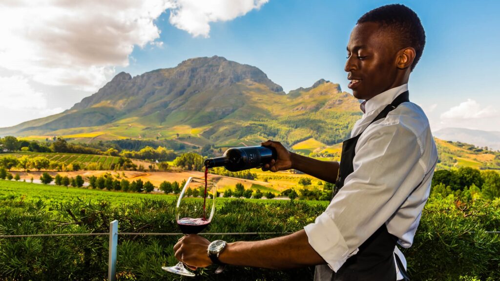South Africa wine playground