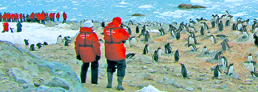 Antarctica travel information