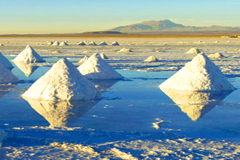 Chile Atacama Desert Salt Lake Chile, Peru and Bolivia Tour