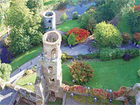 Blarney Stone Ireland