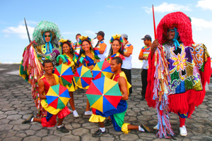 Brazil Carnival Troup