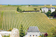 Bourdeau, France Loire Valley Tour Vouray Vineyard