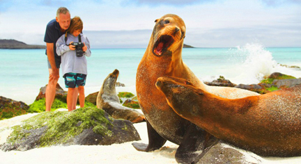 Ecuador and Gálapagos travel information - Galapagos Seals On Beach