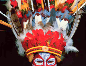 Papua New Guinea Huli Wigman Feather 