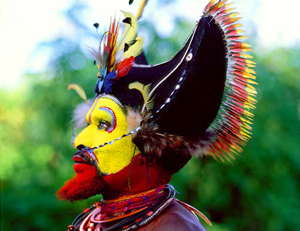 Papua New Guinea Huli Wigman Headress