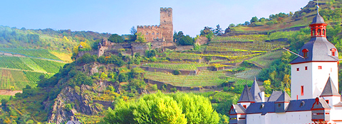 Holland River Cruise Vineyards