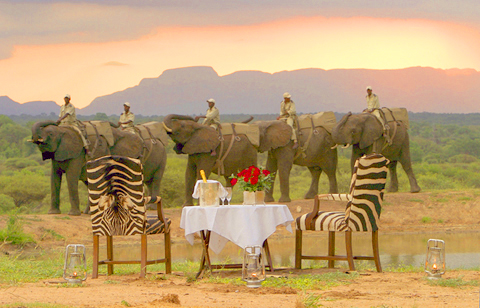 Tanzania Safari Camp