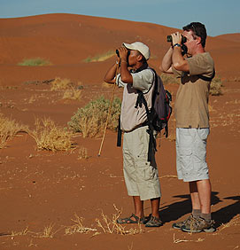 Namibia Sand Dune