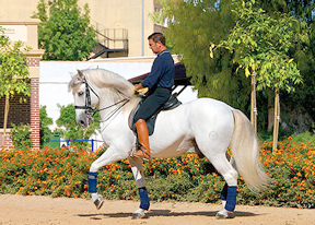 Spain Horse Riding Tour