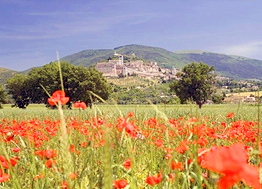 Italy Tuscany Tour Countryside
