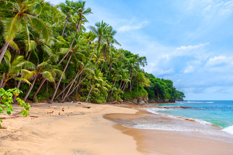 Sri Lanka beach