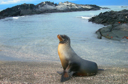 Best Places To Travel In June - Galapagos