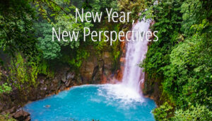 New Year New Perspectives