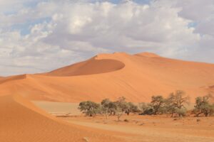 Namibia Sand Dunes