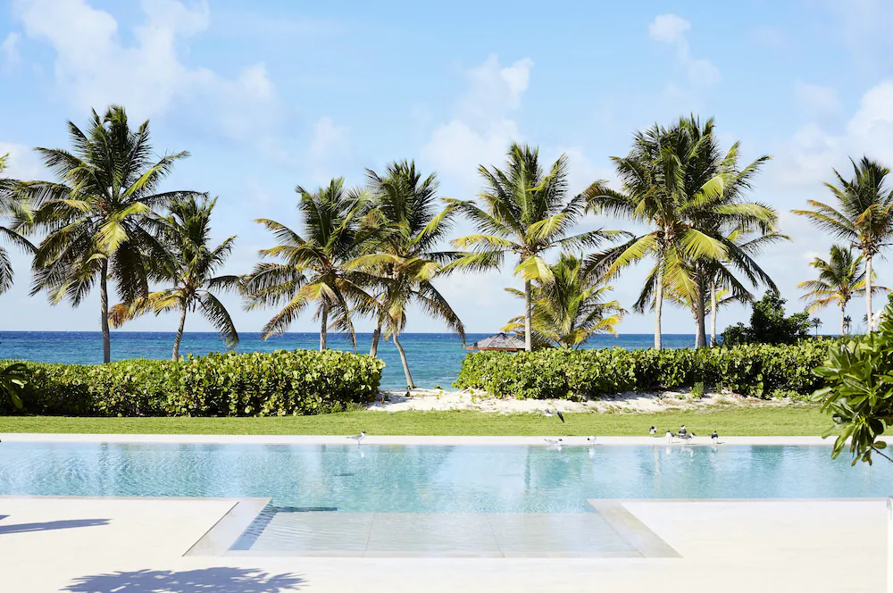 Caribbean Hotel 3 beach palm tree scene