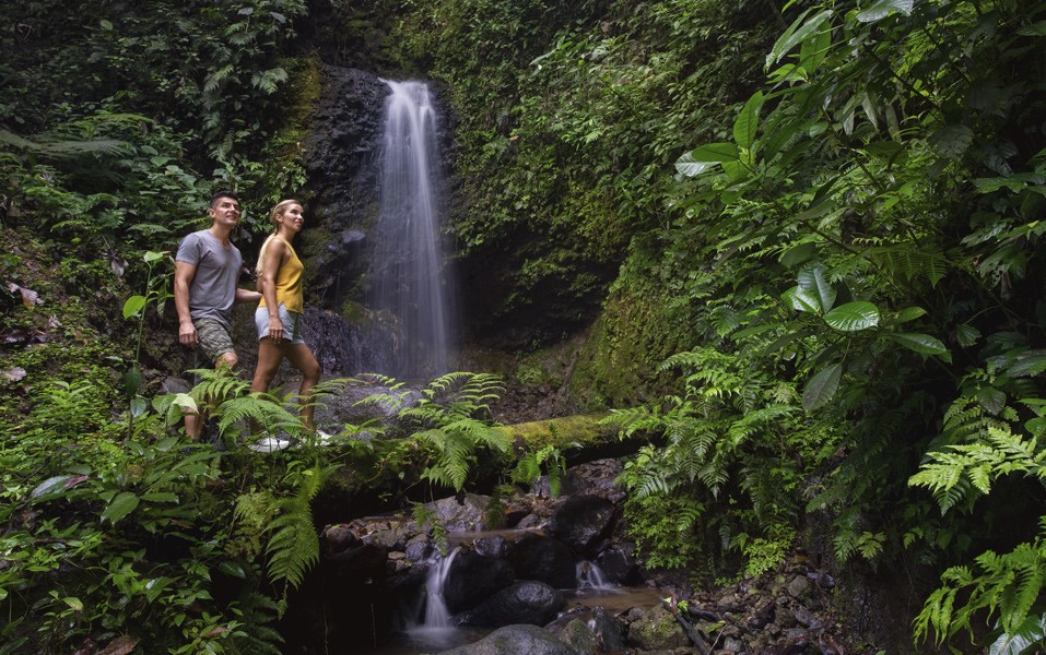 Costa Rica getaway rain forest