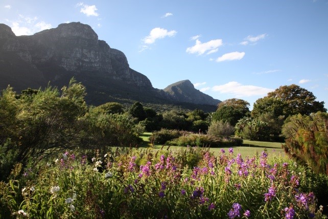 Garden Glory Kirstenbosch Botanical Garden Cape Town South Africa KD