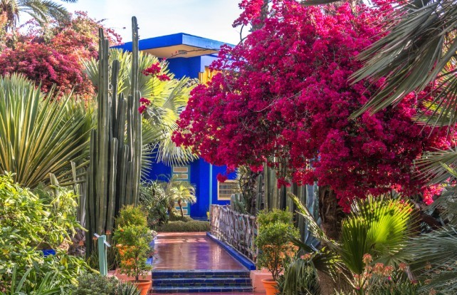 Garden Glory Majorelle Gardens Marrakesh Morocco KD