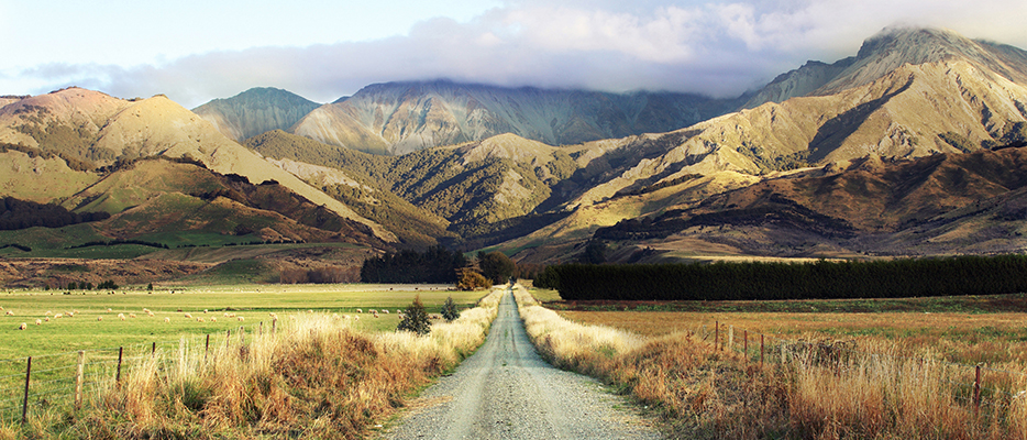 New Zealand mountain road