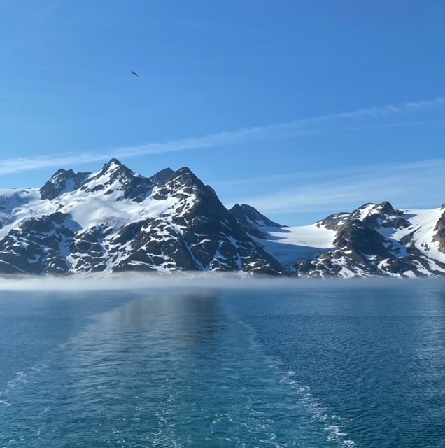 Greenland Fjord Landscape