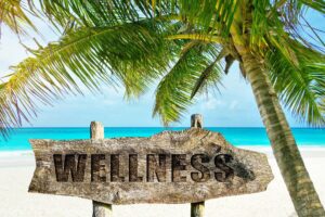 wellness travel