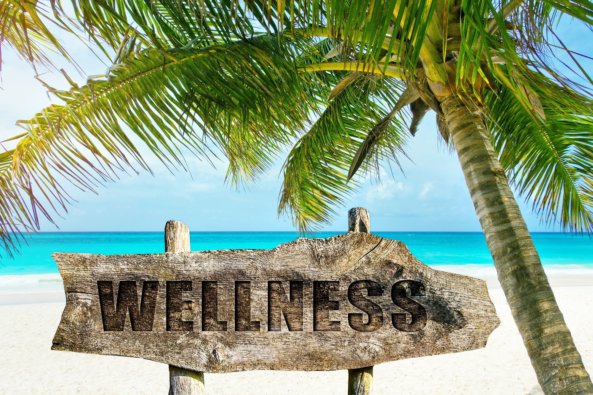wellness travel