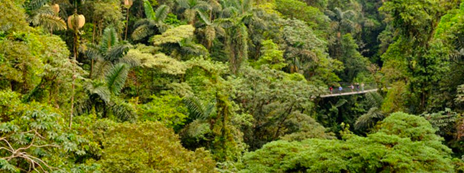 Multigenerational Costa Rica