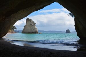 New Zealand tropical cove