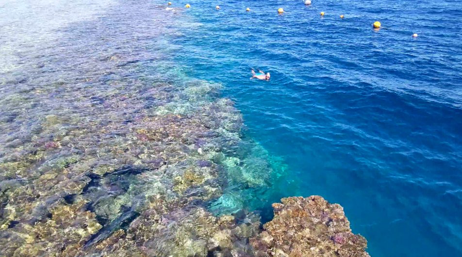 Sharm El Sheikh coral reef